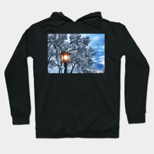 Light in the Snowy Morning Hoodie